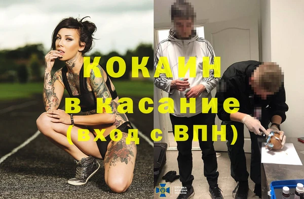 дмт Алексин