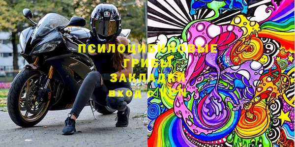 мдпв Алзамай